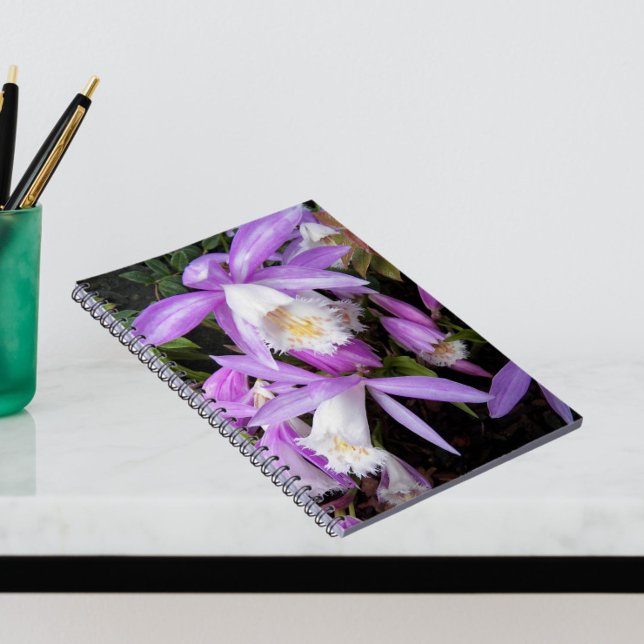 Carnet Pleione Windowsill Orchidées Floral (In Situ)