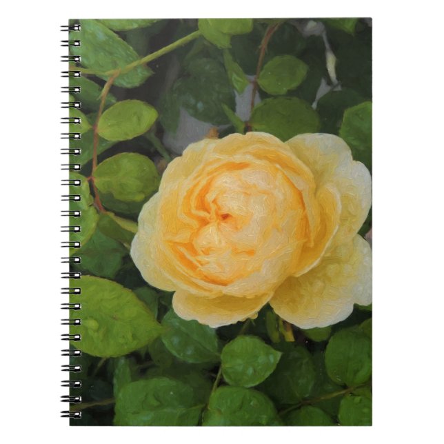 Carnet Pluies sur Rose jaune (Devant)