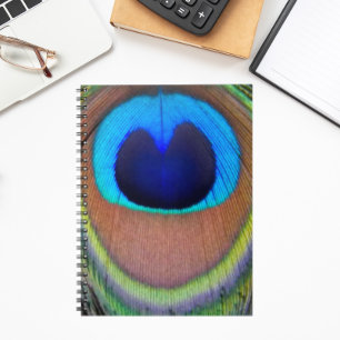 Carnet Plume de paon coloré Eyespot