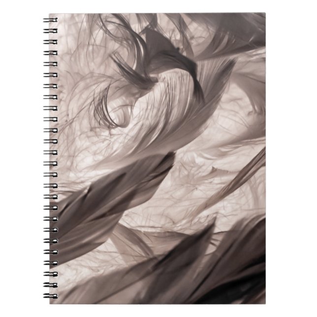 Carnet Plumes (Devant)
