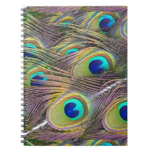 Carnet Plumes de paon