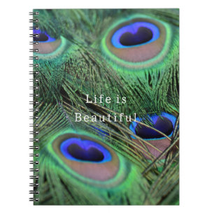 Carnet Plumes de paon bleu de Kauai (photo prise par moi)