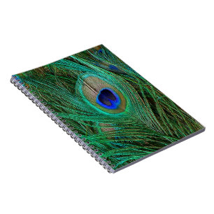 Carnet Plumes de paon bleu indien