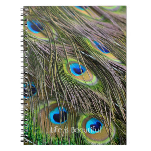 Carnet Plumes de paon oiseau Kauai (ma photographie)