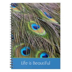 Carnet Plumes de paon oiseau Kauai (ma photographie)