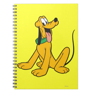 Carnet Pluto   Assis