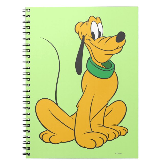 Carnet Pluto | Assis droit vers le haut (Devant)
