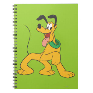 Carnet Pluto   Excité