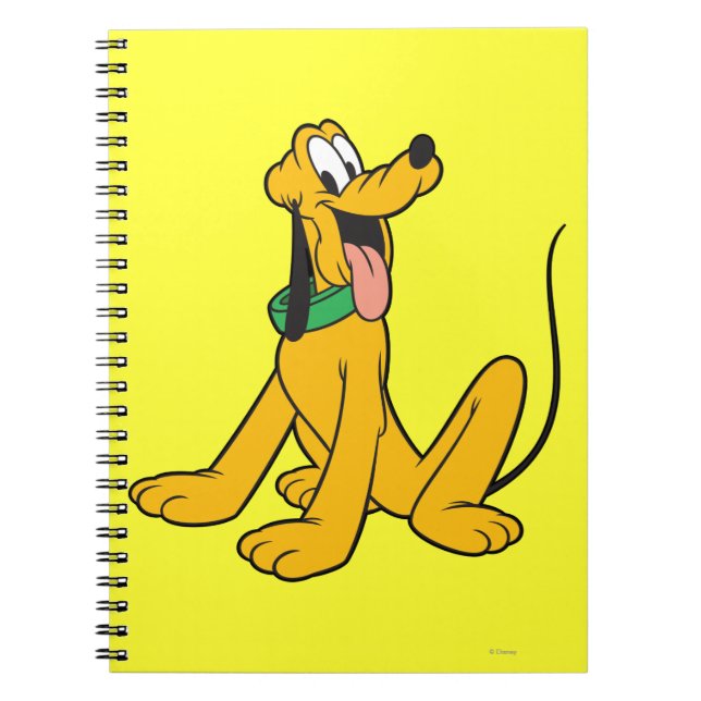 Carnet Pluton | Assis (Devant)