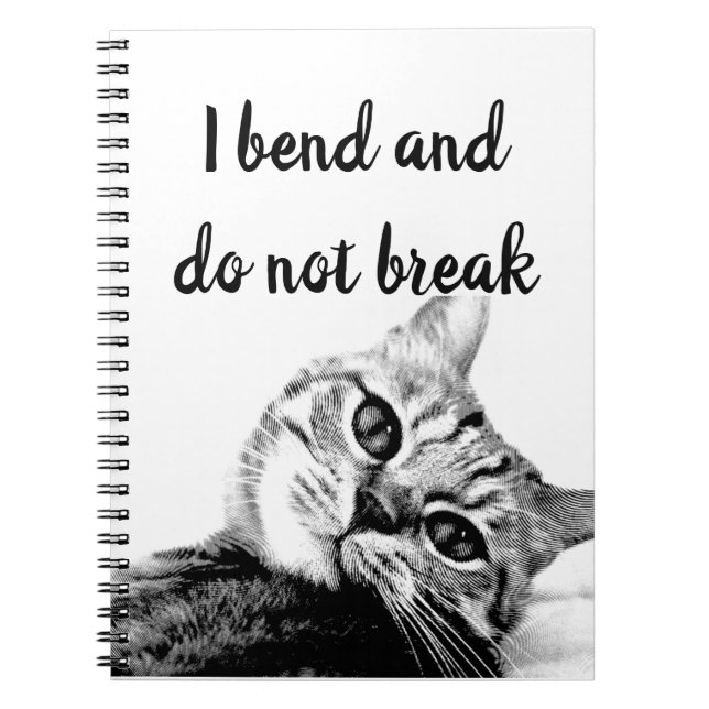 Carnet Poètes de chat Jean de La Fontaine Je plie pas (Devant)