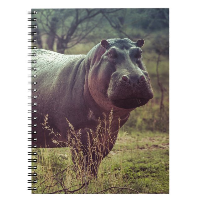 Carnet Poing hippo debout à la caméra en Afrique Foliage (Devant)