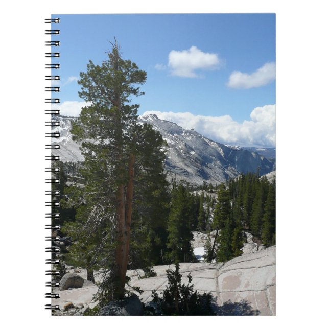 Carnet Point III d'Olmsted dans le parc national Yosemite (Devant)