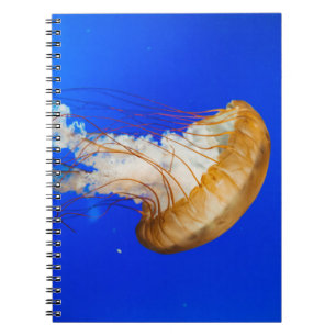 CARNET POISSON BROWN