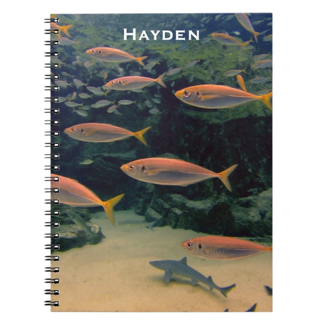 Carnet Poisson rose Shoale sous l'eau Photo personnalisée (Devant)