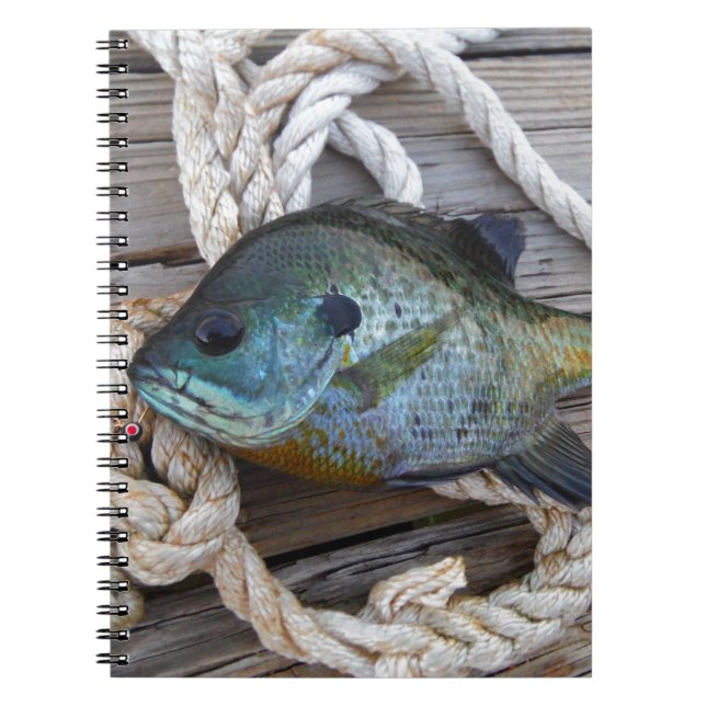 Carnet Poisson rouge sur quai et corde (Devant)