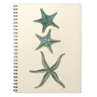Poisson triplé aquamarine
