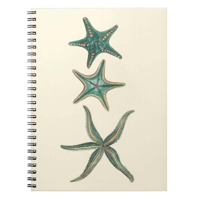 Carnet Poisson triplé aquamarine (Devant)