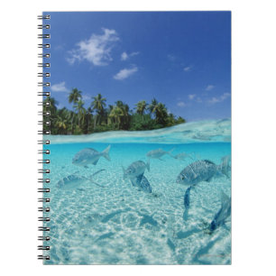 Carnet Poissons en mer