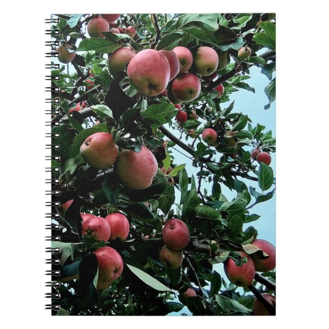 Carnet Pommes (Devant)