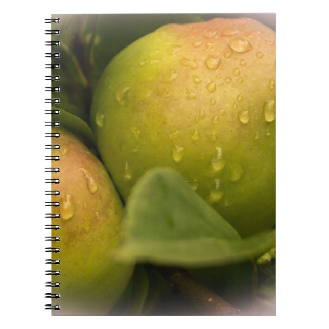 Carnet Pommes vertes fraîches avec gouttes de pluie (Devant)
