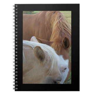 Carnet Poney