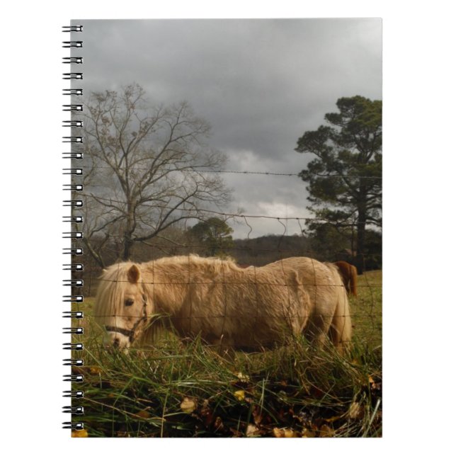 Carnet Poney miniature blond / Cheval (Devant)