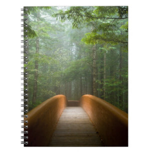 Carnet Pont de forêt de séquoia