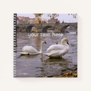 Carnet Pont Swans et Charles à Prague