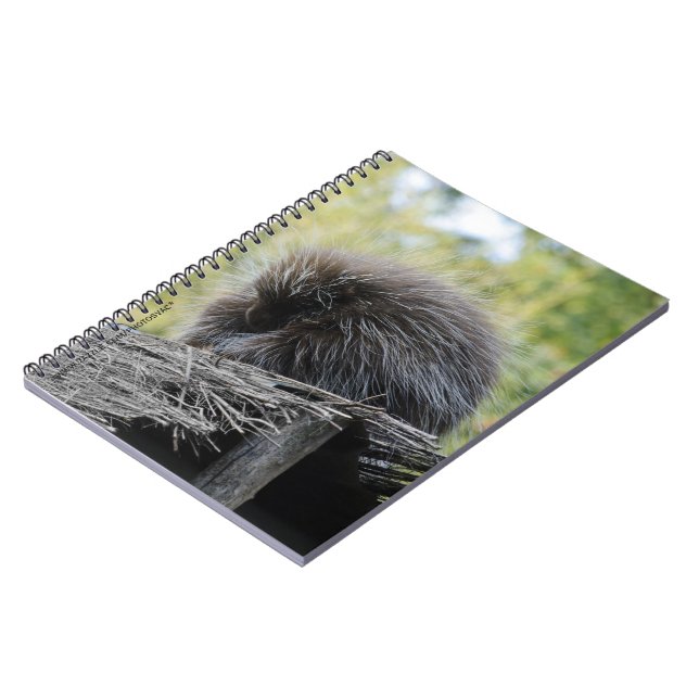 Carnet Porcupine dormant (Côté gauche)