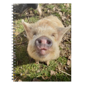 Carnet Portable Mona Daisies