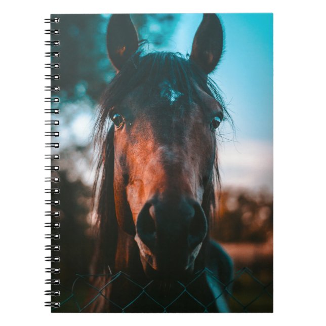 CARNET PORTRAIT CHEVAL (Devant)