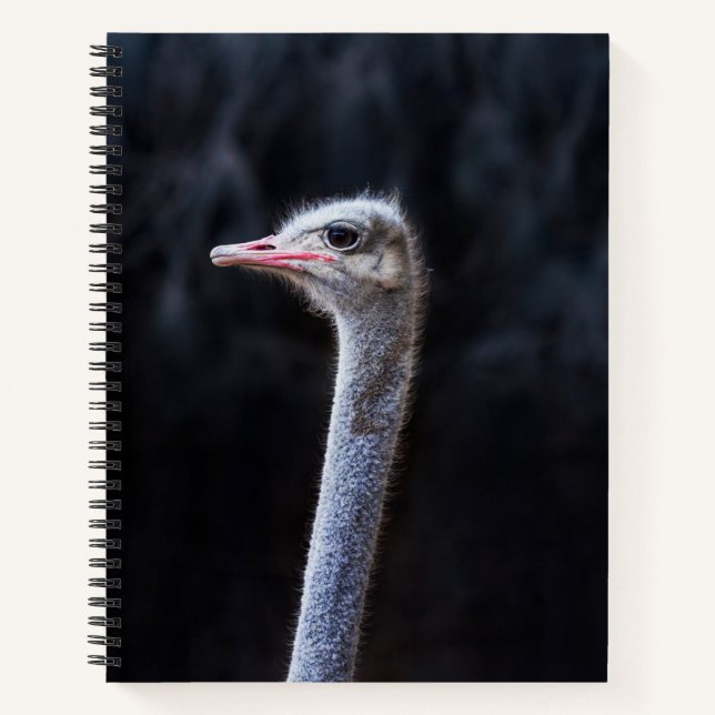 Carnet portrait d'autruche (Devant)