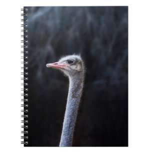 Carnet portrait d'autruche