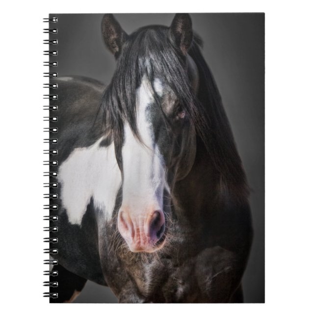 Carnet Portrait de cheval II (Devant)