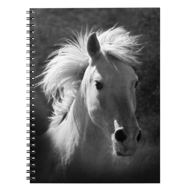 Carnet Portrait de cheval V (Devant)