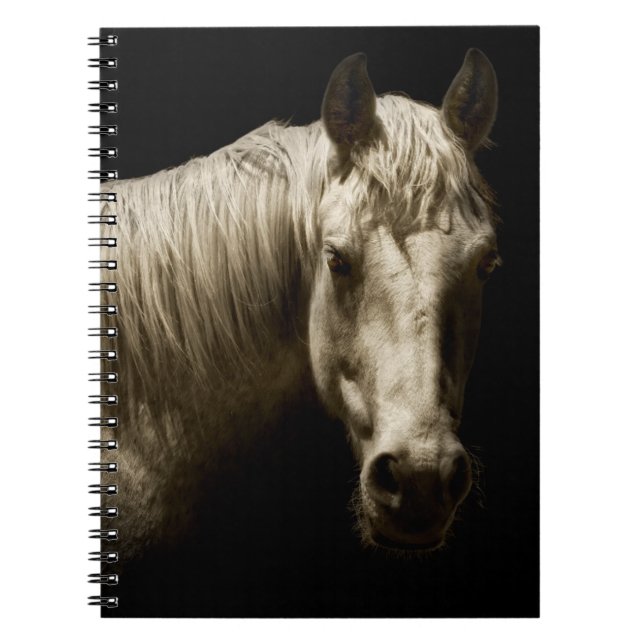 Carnet Portrait de cheval VI (Devant)