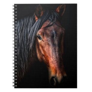 Carnet Portrait de cheval VII