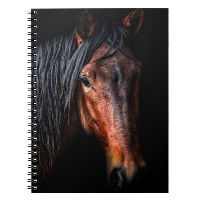 Carnet Portrait de cheval VII (Devant)