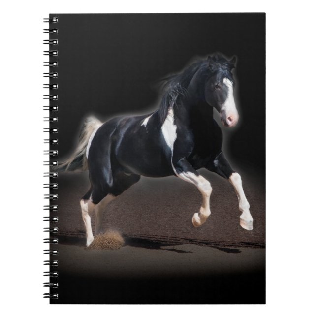Carnet Portrait de cheval VIII (Devant)