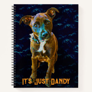 Carnet Portrait de chien pop art coloré — «C'est juste fo