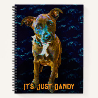 Carnet Portrait de chien pop art coloré — «C'est juste fo