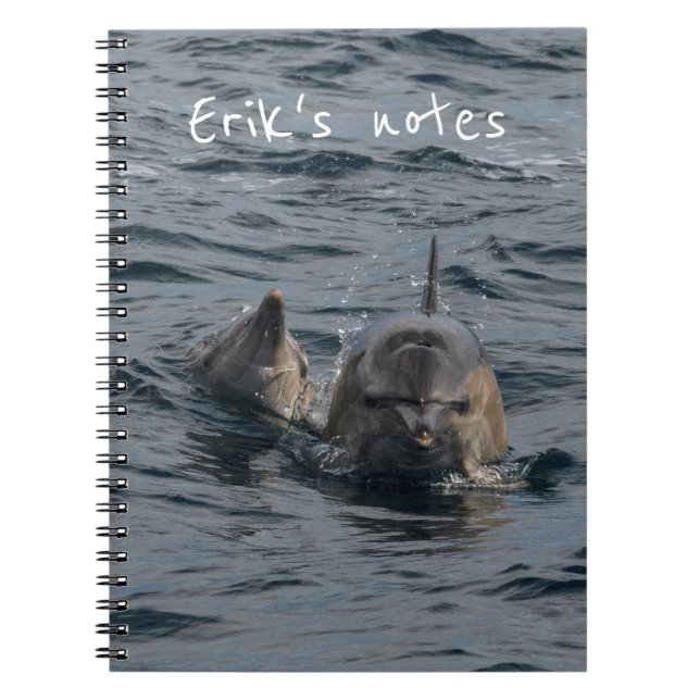 Carnet Portrait de dauphins en gros plan, Tasmanie, Austr (Devant)