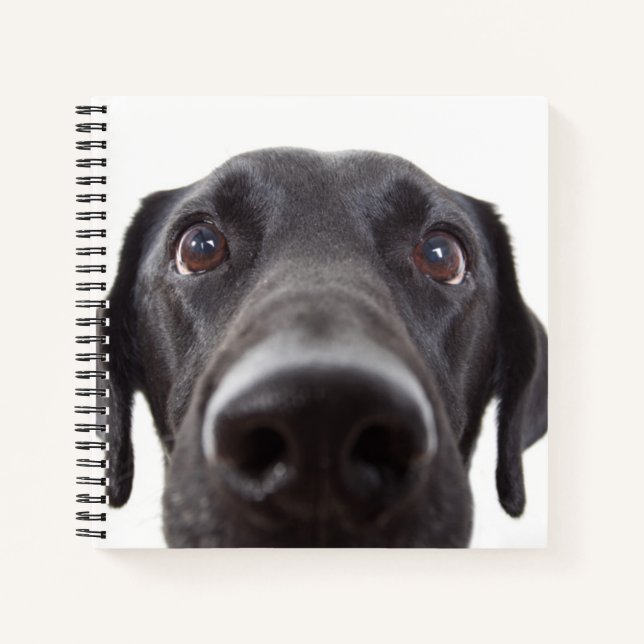 Carnet Portrait de fermeture Black Labrador (Devant)