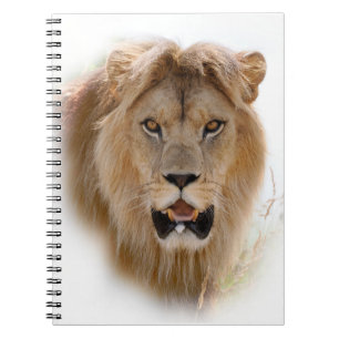 Carnet Portrait de lion