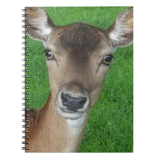 Carnet Portrait de photographe Wildlife (Devant)