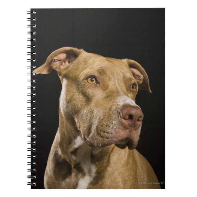Carnet Portrait de pitbulle de nez rouge avec noir (Devant)