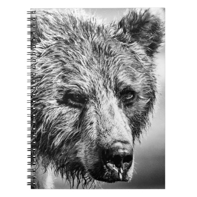 Carnet Portrait d'ours grizzli (Devant)