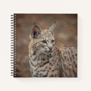 Carnet Portrait d'un Bobcat