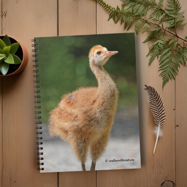 Carnet Portrait d'un Colt de grue de Sandhill (Portrait of a Sandhill Crane Colt Journal Cover Photo)