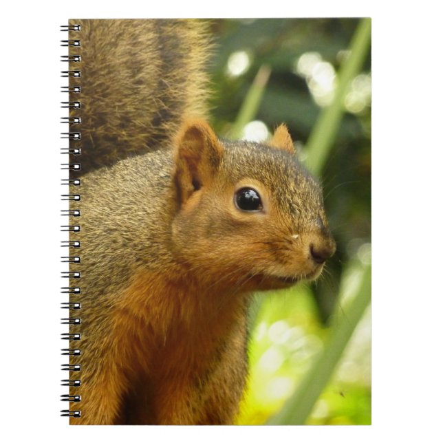 Carnet Portrait d'un écureuil Nature Animal Photographie (Devant)